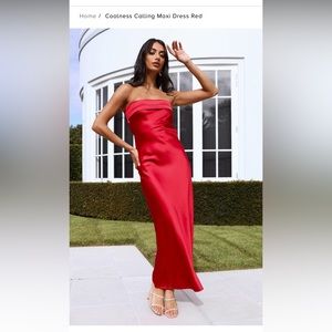 NWT Hello Molly maxi backless dress